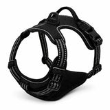 Harnais pour Chien Anti-Traction — Confort & Zéro Douleur | Canizen